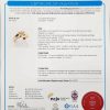 UNISEX 14CT ROSE GOLD DIAMOND DRESS RING WITH VALUATION HL4521 - Image 5