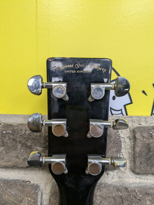 Tanglewood Evolution Guitar - Image 4