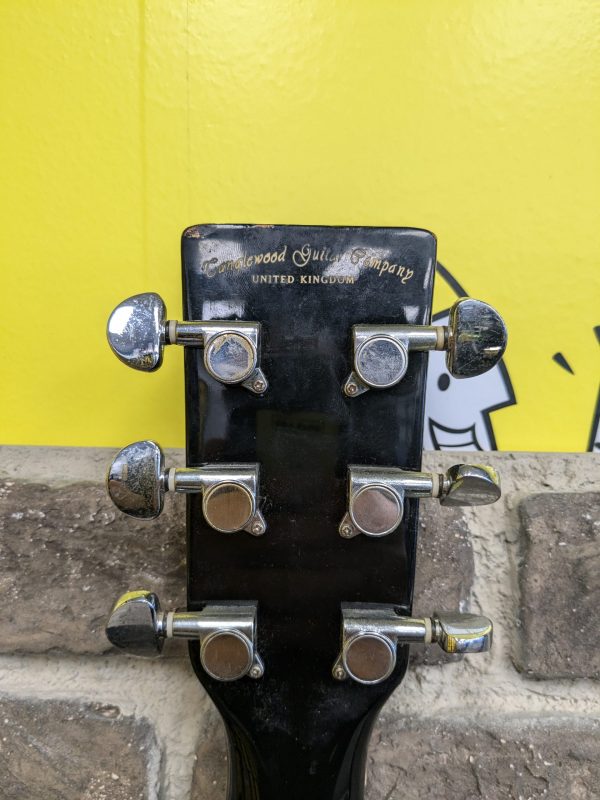 Tanglewood Evolution Guitar - Image 9
