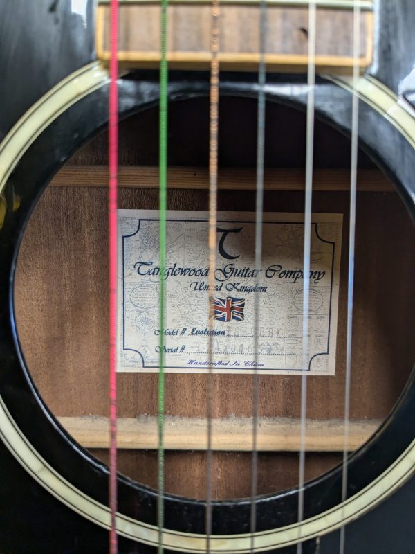 Tanglewood Evolution Guitar - Image 2