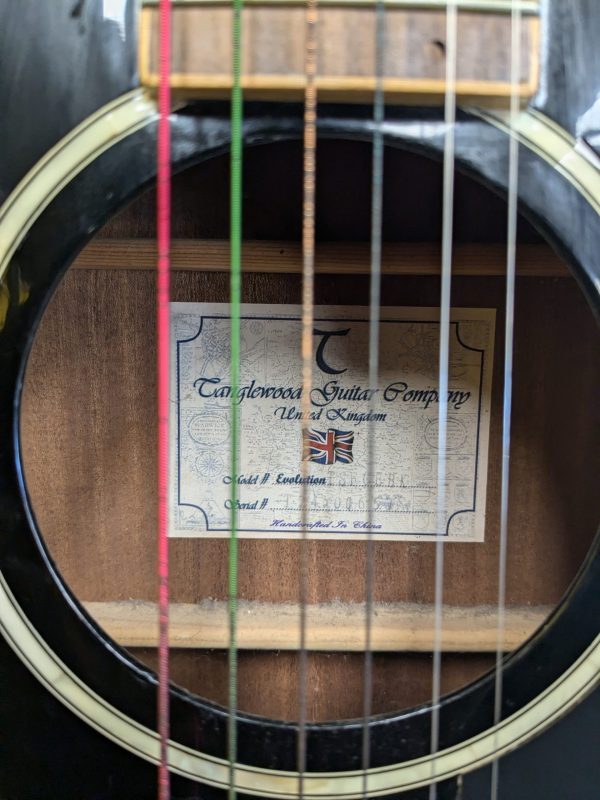 Tanglewood Evolution Guitar - Image 7