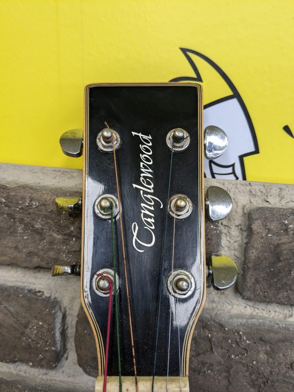 Tanglewood Evolution Guitar - Image 8
