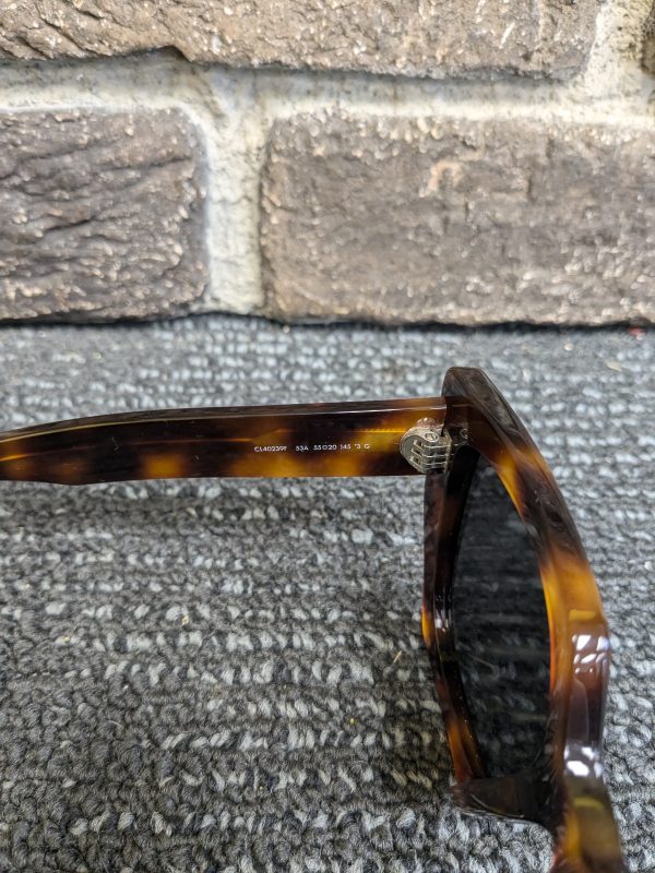 Celine Paris Ladies Sunglasses - Image 4