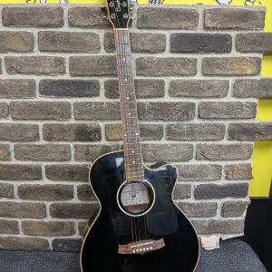 Tanglewood Evolution Guitar