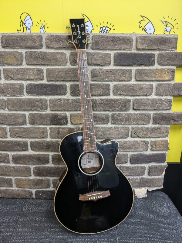 Tanglewood Evolution Guitar - Image 6