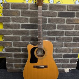 Washburn D10CELH Left Hand Acoustic Guitar