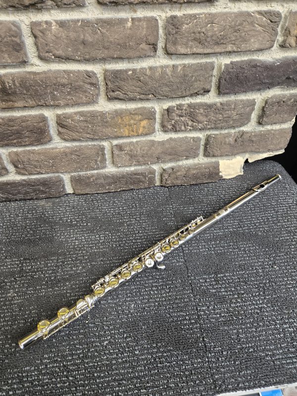 Xinghai Studen Flute - 24486 - Image 2