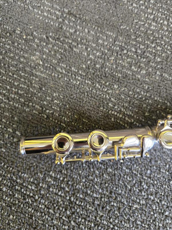 Xinghai Studen Flute - 24486 - Image 3