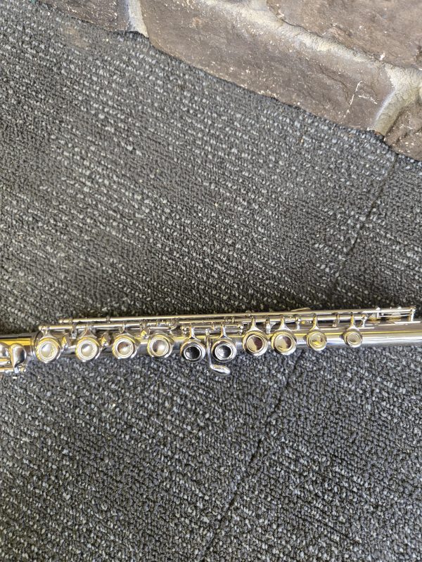 Xinghai Studen Flute - 24486 - Image 4