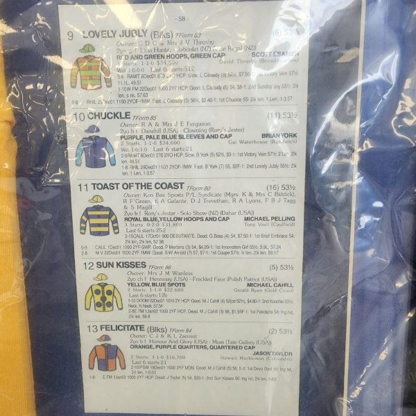 Framed/signed 2002 Magic Millions Life Guard Shirt Hl3927 - Image 14