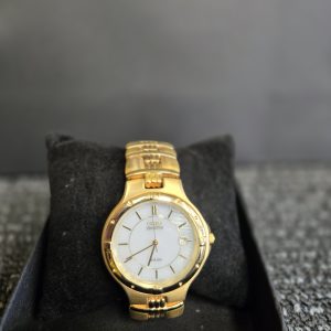 Citizen Men's Gold Watch - LG25406
