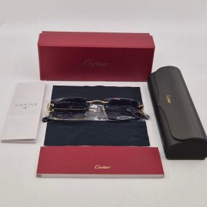 Ladies Cartier Sunglasses Classic C DE Motif - HL31954