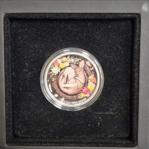 Dreaming Down Under Kangaroo 2021 1/2oz Silver Proof Coin - LG28162-1